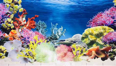 Aquarium Backgrounds Printable